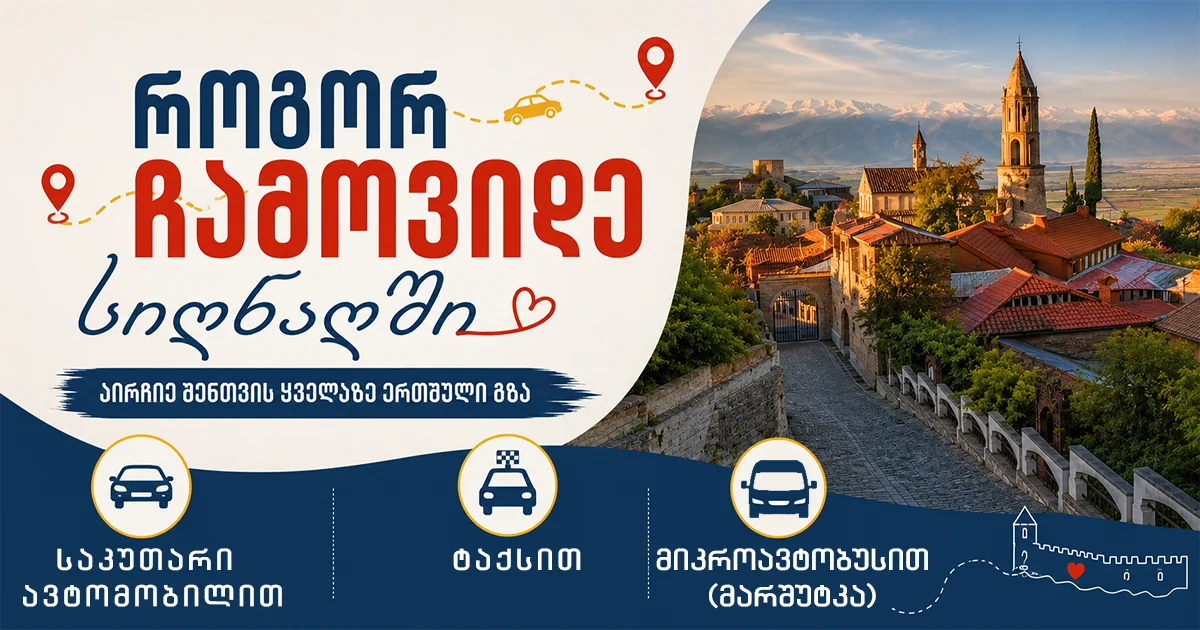 როგორ ჩავიდე სიღნაღში როგორ ჩავიდე სიღნაღში